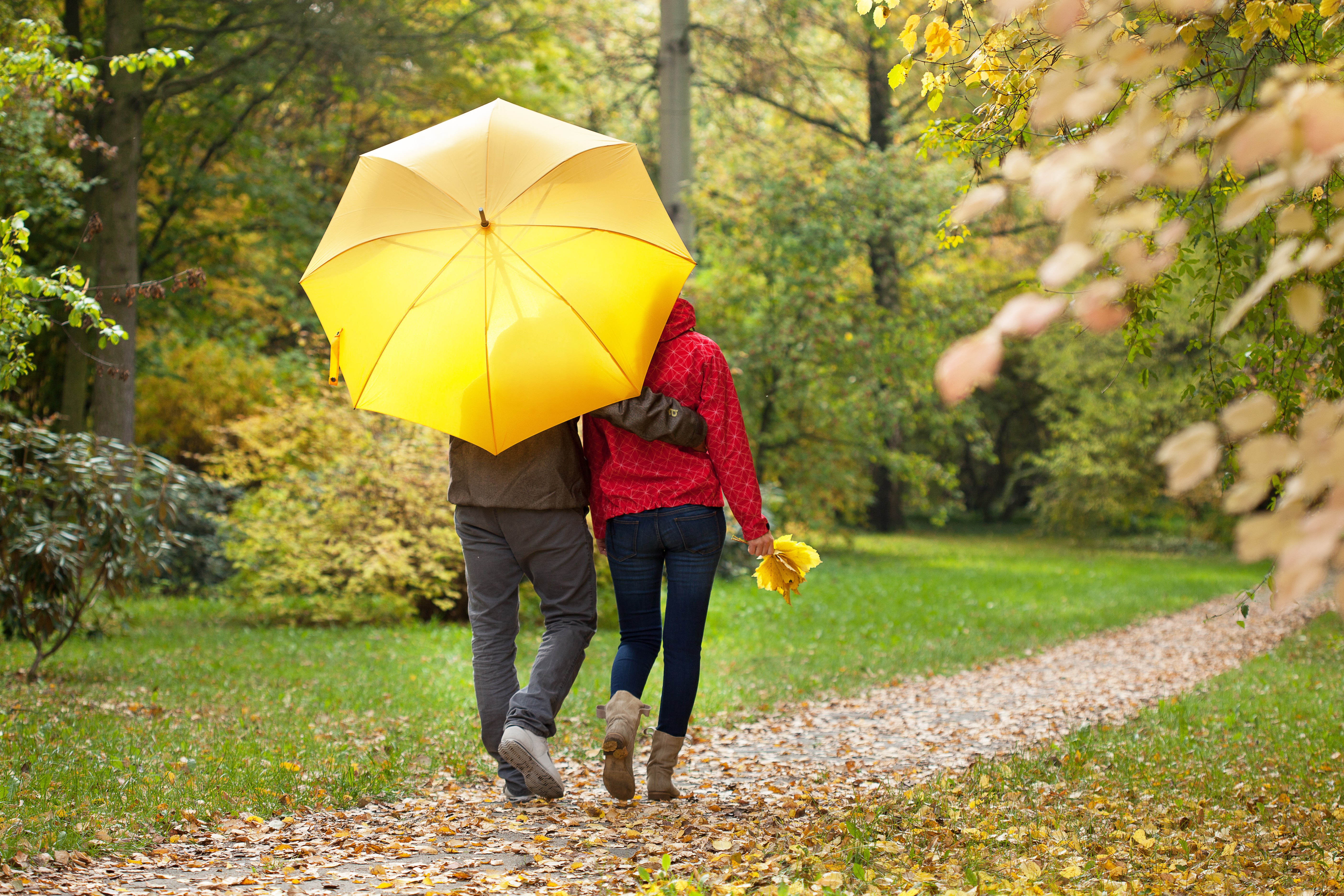 Одолжил ей зонтик. Осенняя прогулка. Мужчина с зонтом в парке. Осень люди с зонтами. Прогулка в парке с зонтиками.